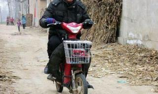 朱之文我是大明星 朱之文我是大明星